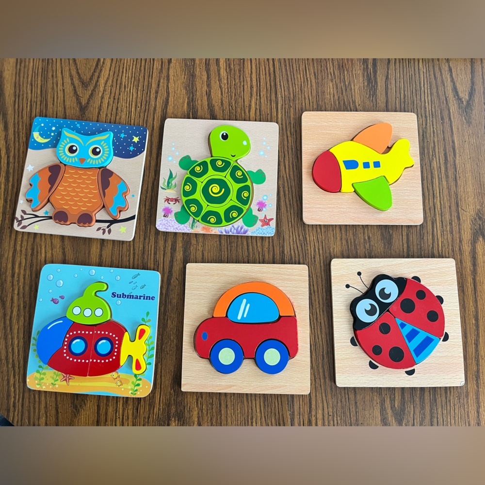 Set of 6 Wooden Jigsaw Puzzles